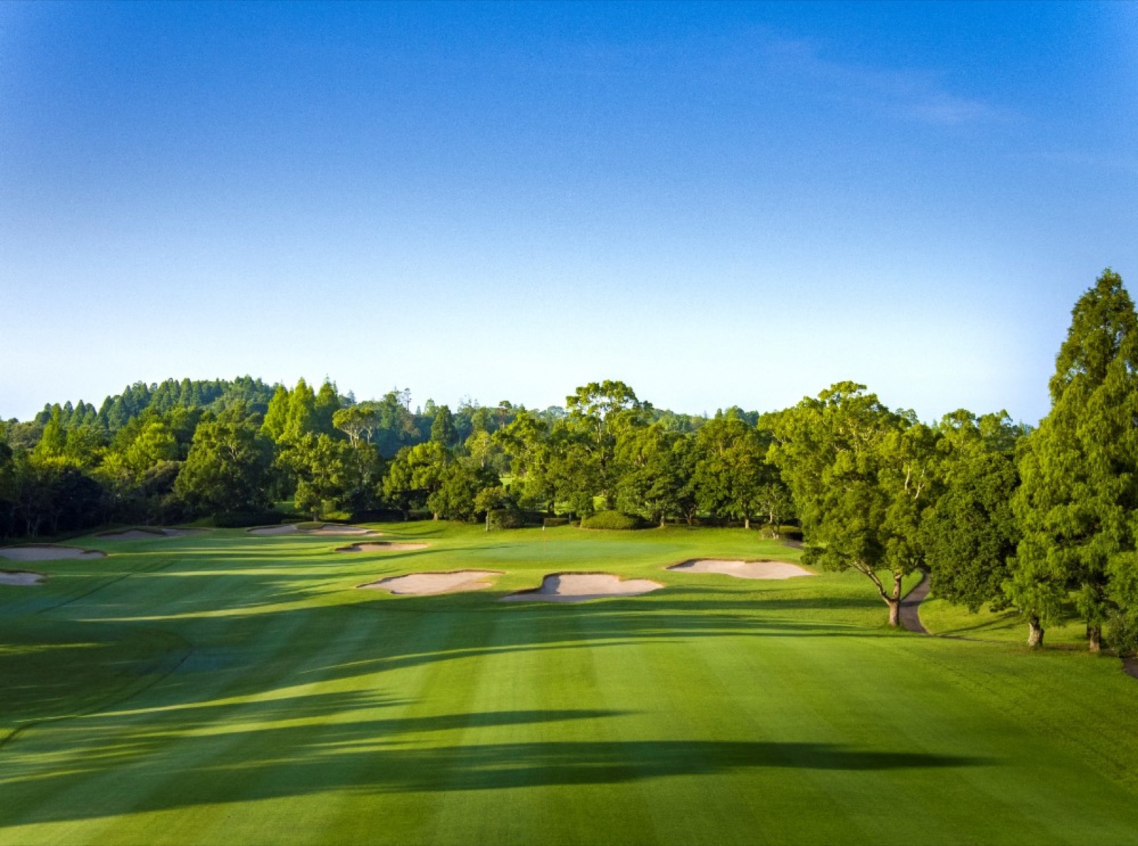 Course view at Mana Country Club