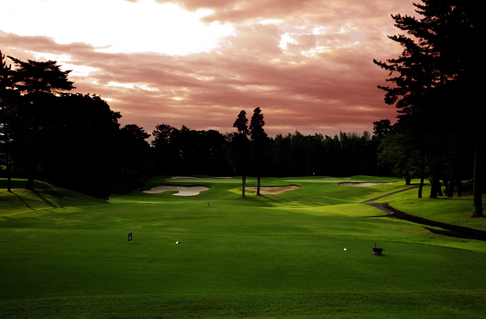 Tree-lined fairway at Narashino Country Club